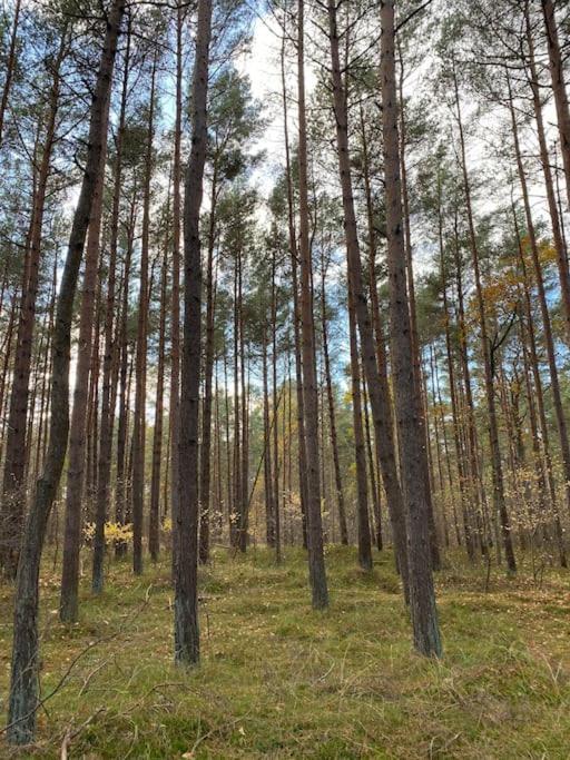 Fuer Naturliebhaber Appartement Peenemunde